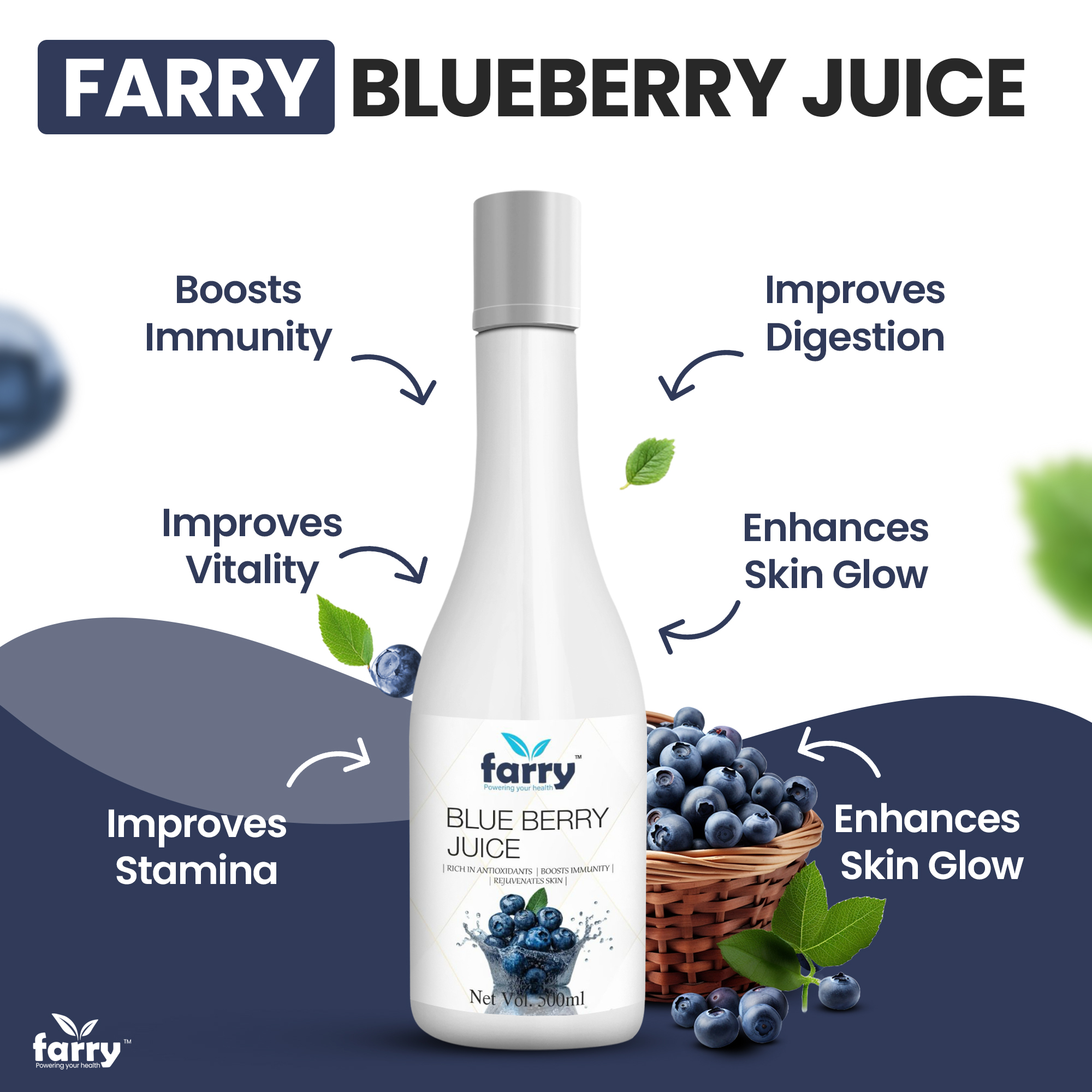 Farry Blueberry Juice – 500ml | Sugar-Free Antioxidant Supplement | Boosts Immunity, Heart & Skin Health