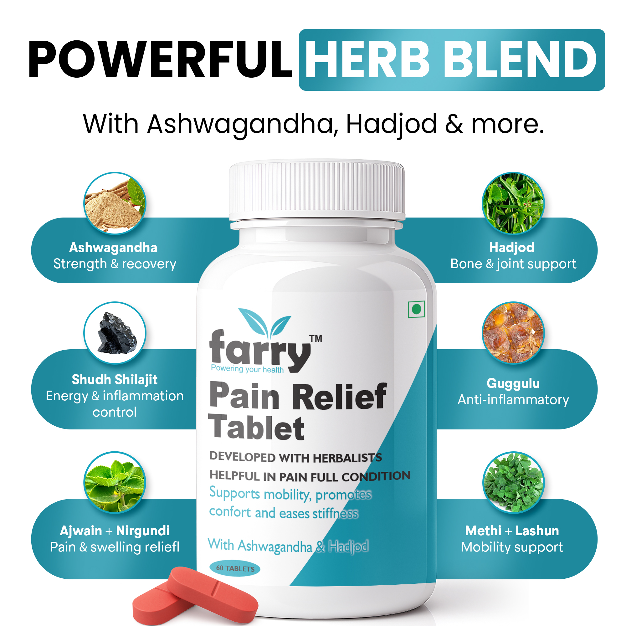Farry Pain Relief Tablet | With Ashwagandha, Hadjod & 15+ Ayurvedic Herbs | Supports Joint Mobility, Reduces Stiffness & Back Pain | Ayurvedic Proprietary Medicine | 60 Tablets