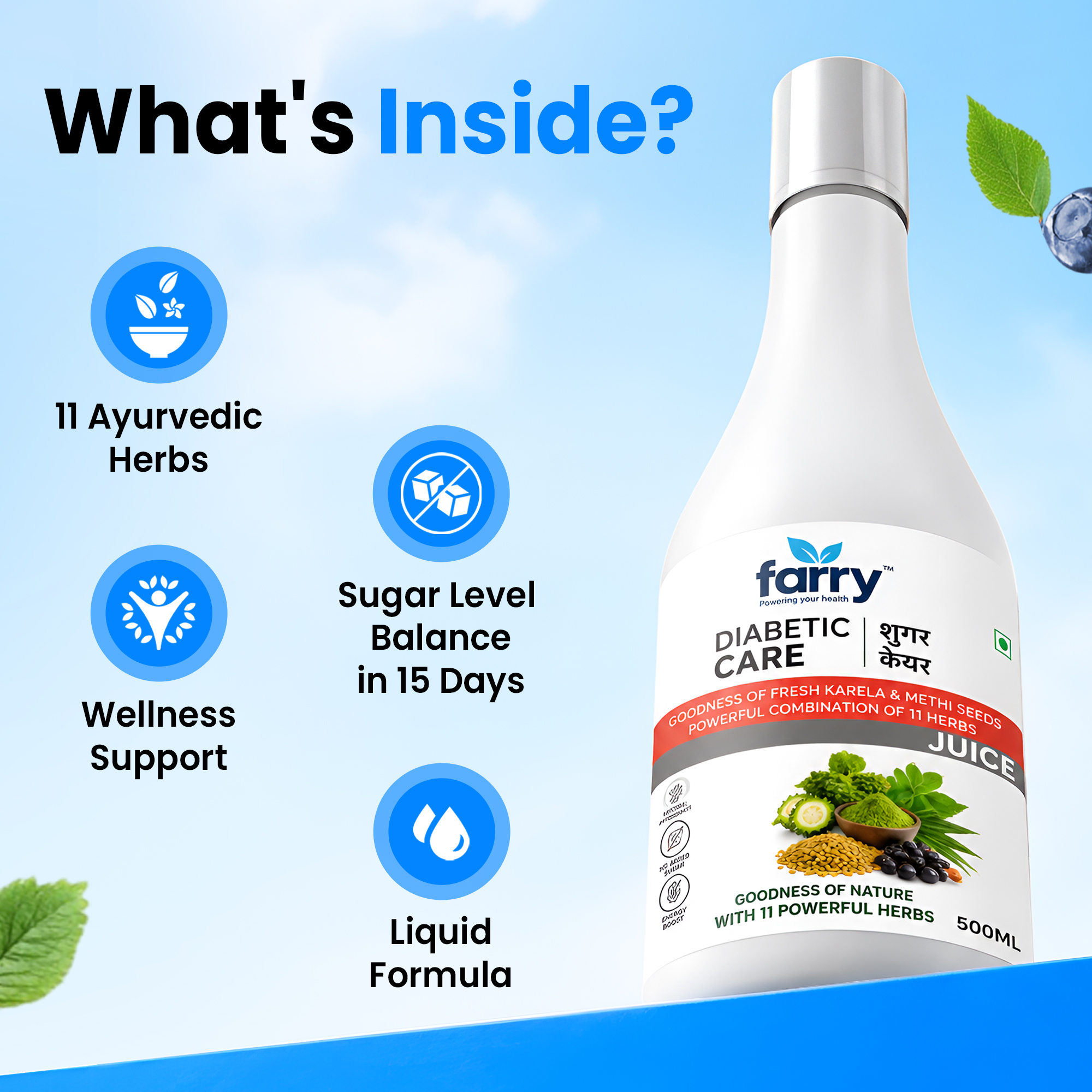 Farry Diabetic Care Juice 500ml | Karela Bitter Melon & Methi Fenugreek Herbal Juice | 11 Ayurvedic Herbs Blend | No Added Sugar | Herbal Wellness Drink for Daily Routine