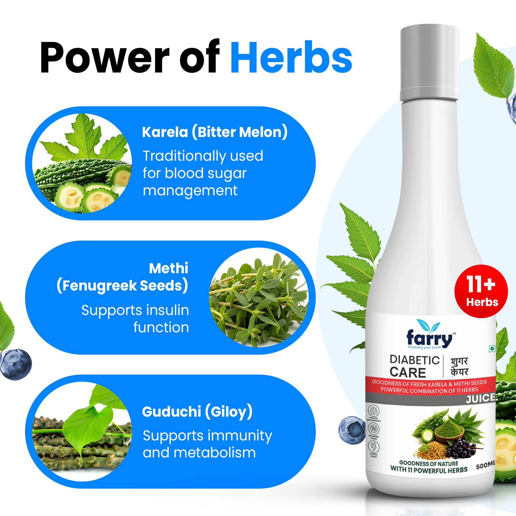 Farry Diabetic Care Juice 500ml | Karela Bitter Melon & Methi Fenugreek Herbal Juice | 11 Ayurvedic Herbs Blend | No Added Sugar | Herbal Wellness Drink for Daily Routine