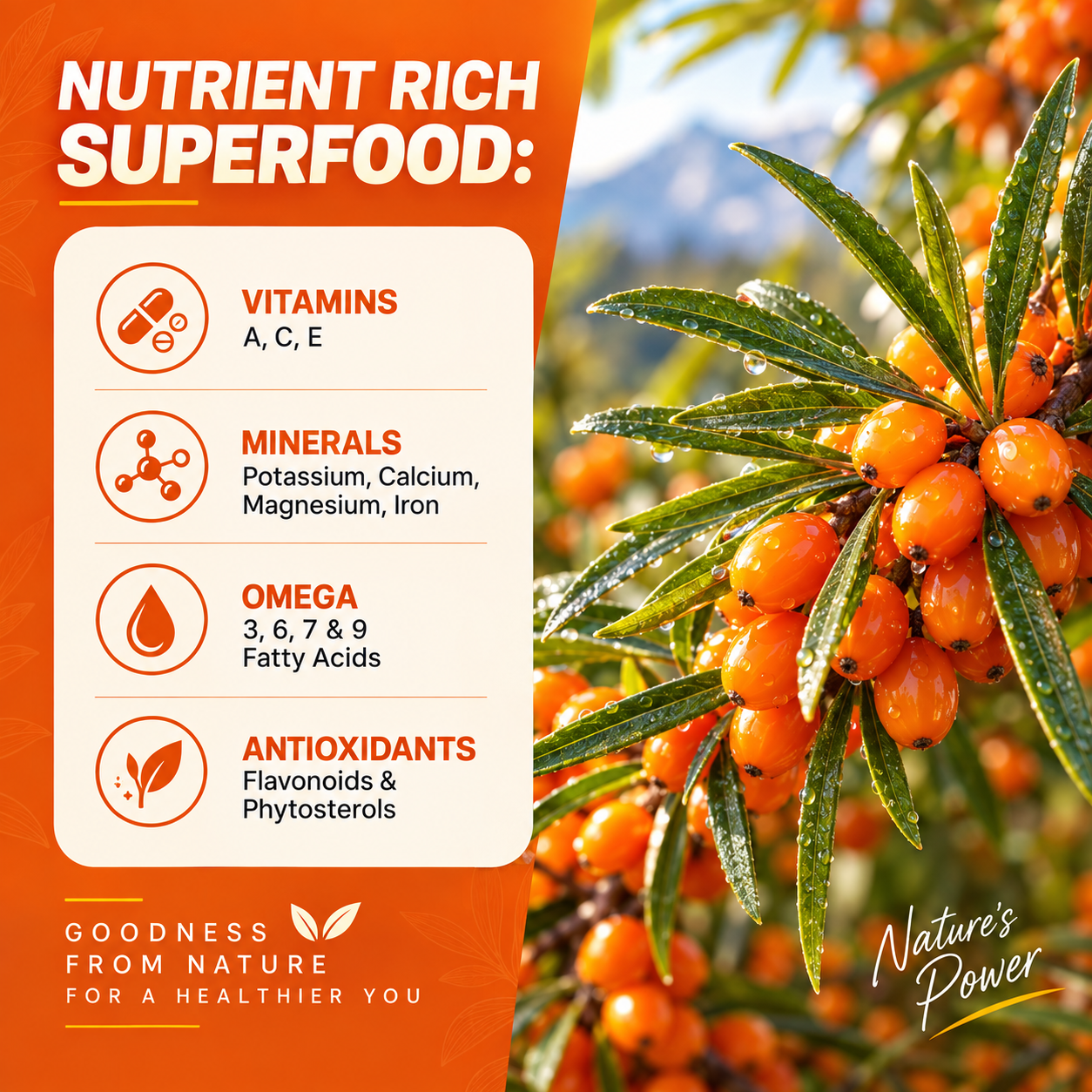 Farry Himalayan Sea Buckthorn Juice 500ml | Natural Sea Buckthorn Berry Juice | Rich in Antioxidants, Vitamins & Minerals | Supports Immunity, Skin, Vision & Overall Wellness